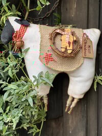 Image 3 of Kit 58. JACINTA 