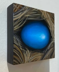 Image 2 of Bluebird Egg 2