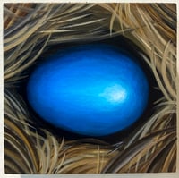 Image 1 of Bluebird Egg 2