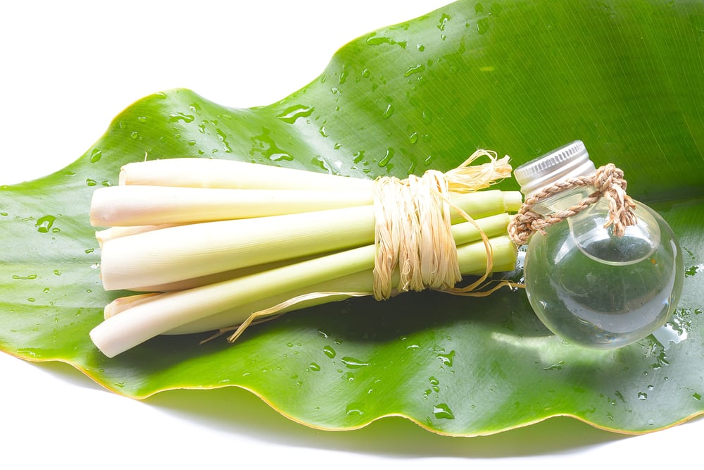 Image of IAOMAI Lemongrass & Patchouli Specialty Bar