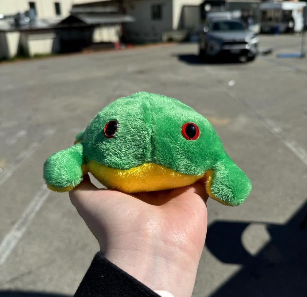 Image of Yellow Bellied Frog