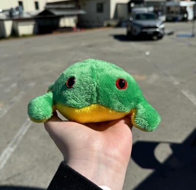 Image of Yellow Bellied Frog