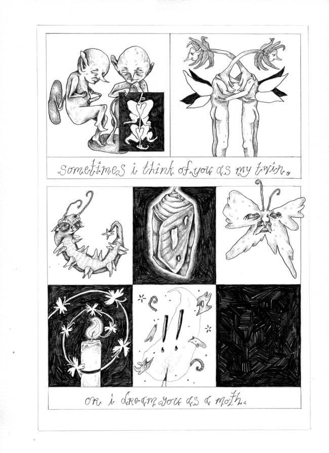 Extinction - Phoebe Mol 