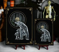 Image 2 of Polar bears in the Swamp