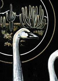 Image 3 of Encounter with the Desert Swans