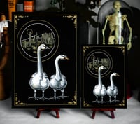 Image 2 of Encounter with the Desert Swans