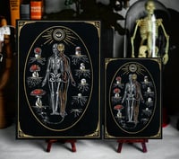 Image 2 of Two of the Same Holy Grail