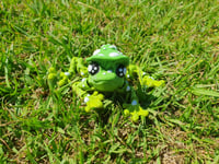 Image 6 of Mushroom Frogs