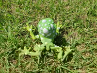Image 7 of Mushroom Frogs