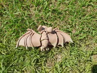 Image 2 of Bats