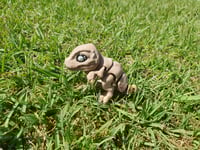 Image 1 of Tiny T-rex 