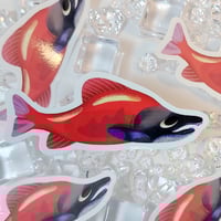 Salmon sticker
