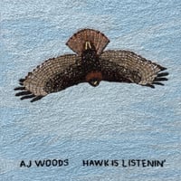 AJ Woods - Hawk is Listenin' LP