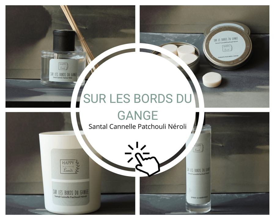 Image of COLLECTION SUR LES BORDS DU GANGE