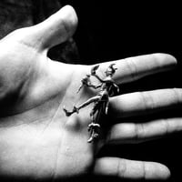 Image 1 of jester brooch