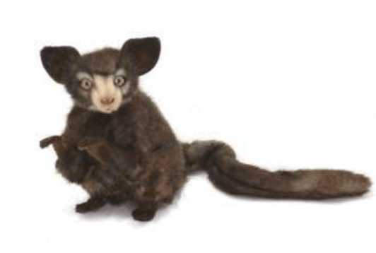 Image of Animal Friends (7 kinds)