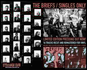 Image of PRE ORDER ! 255 PRESSED- THE BRIEFS - SINGLES ONLY LP W/ FLEXI 7''-  STANDARD VARIANT 