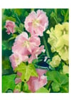 Hollyhocks ~ Giclee print