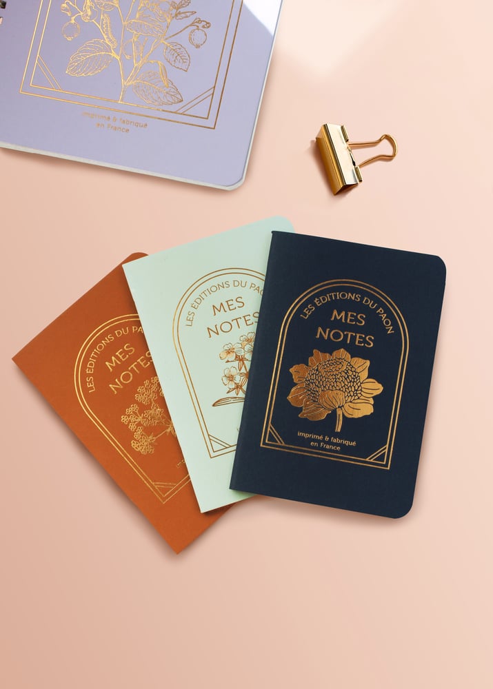 Image of TRIO PETITS CARNETS HERBORISTE