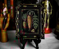 Image 1 of Carrot