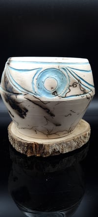 Taino Horsehair pot