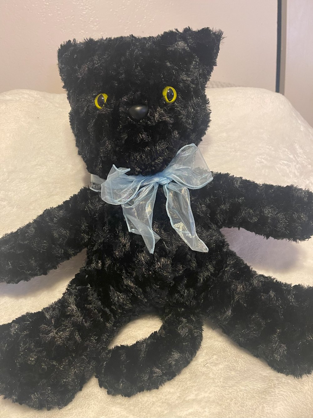 Image of Black Cat