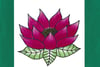 lotus flower