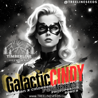 Image 1 of Timberline Select ~  Galactic Cindy