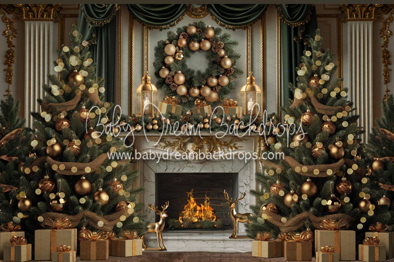 Image of  Christmas Session Deposit $245