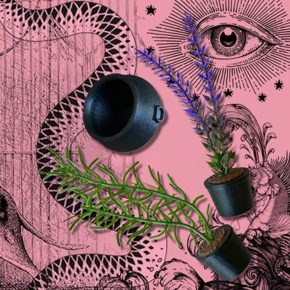 FHOS - Season of the Witch