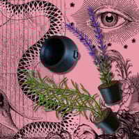 Image 6 of FHOS - Season of the Witch