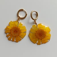 Image 2 of Pendientes Ray ⚡