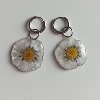 Image 2 of Pendientes Daisy 🌼