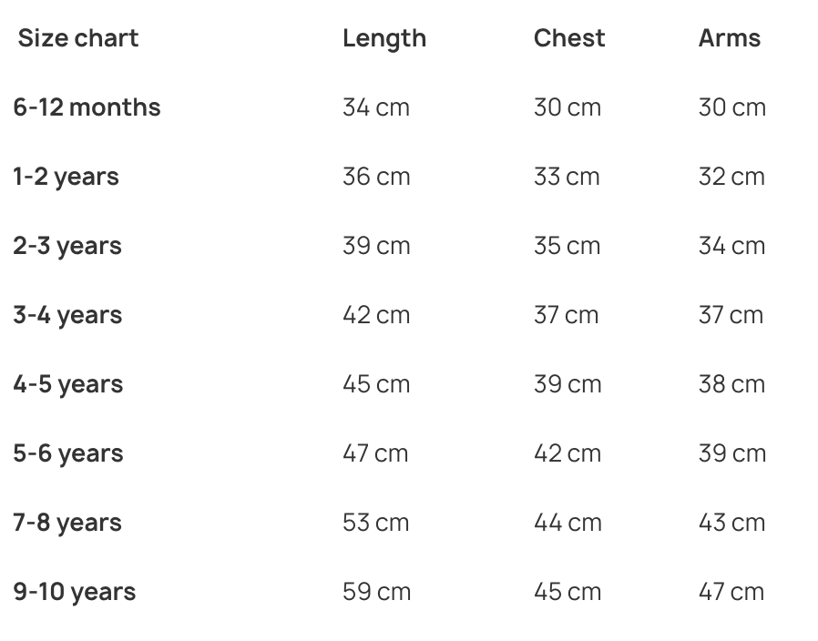 Image of Elf Training Academy - Red Sweater
