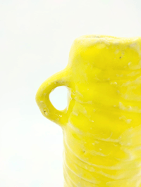 Image 3 of Citrus Medium