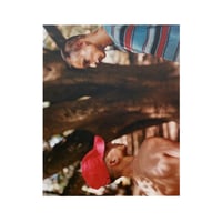 Image 1 of UMBRO - ALASDAIR McLELLAN