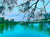  Paint Fennell Bay Bridge at Toronto Hotel 7th October @3pm long weekend session