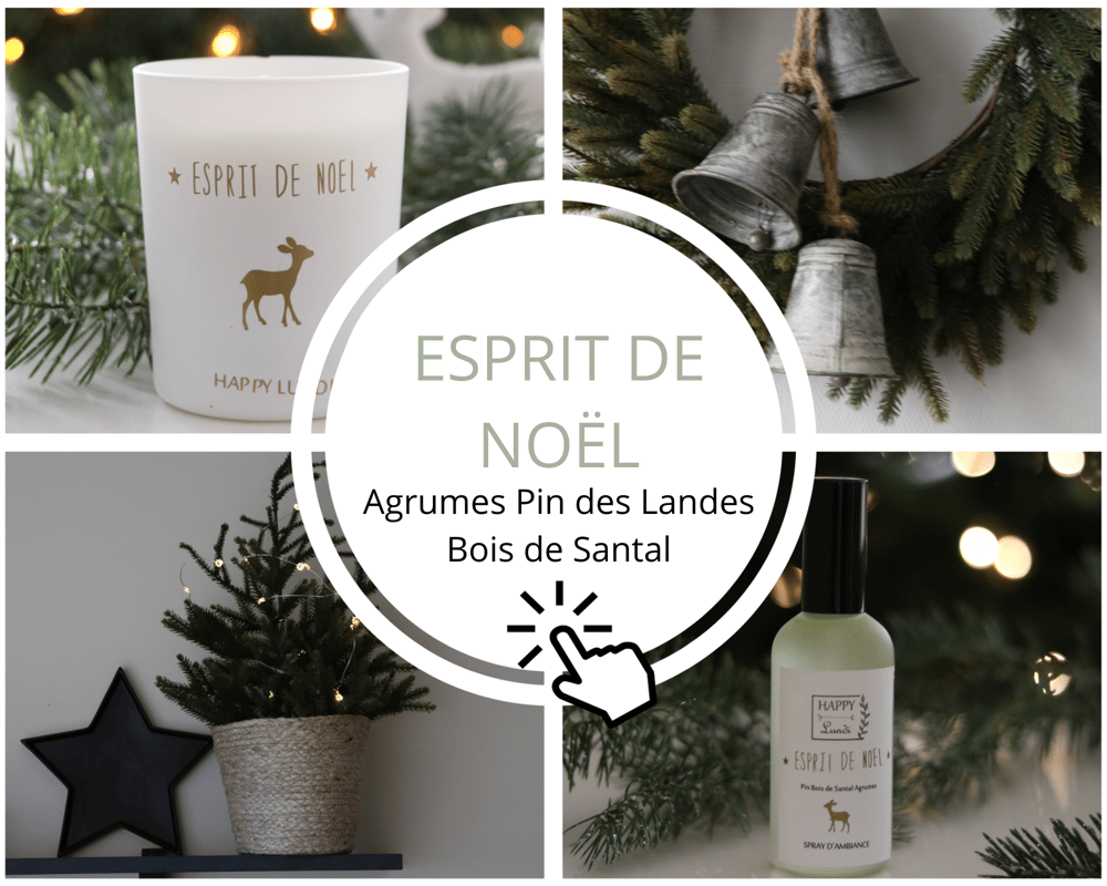 Image of ESPRIT DE NOËL