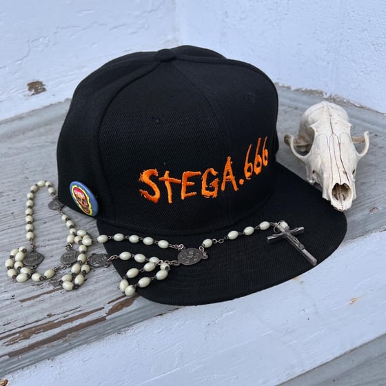 Image of Stega SnapBack hat 