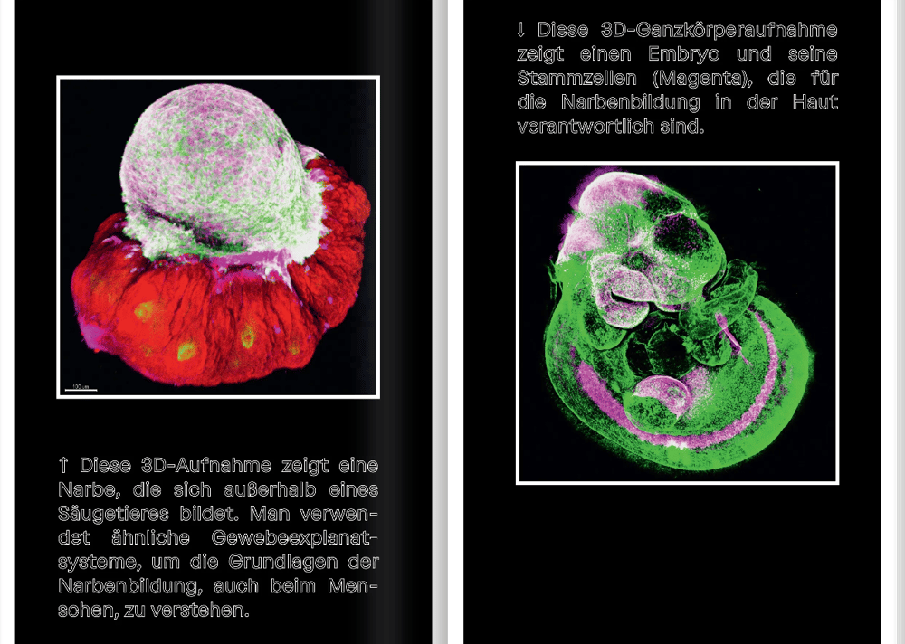 Image of PS: NARBEN – C/O Vienna Books No. 2