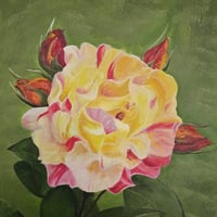 Image 5 of Rose - 12" x 16"