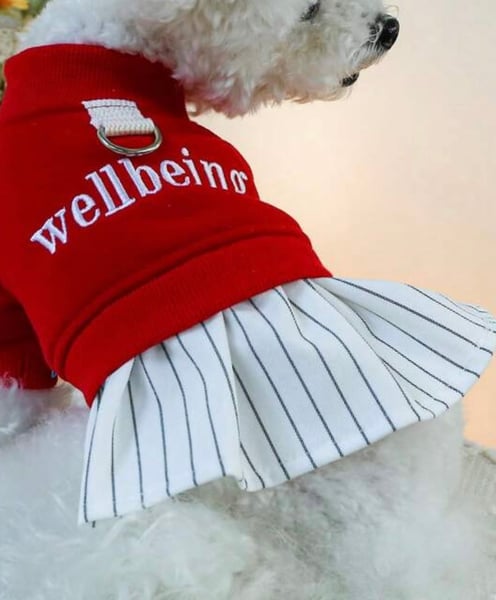 Image of Wellbeing sweatshirt 