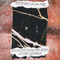 Image 2 of Ahulabrum / Eerified Catacomb 7" EP Split (MINT)