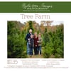 Tree Farm 