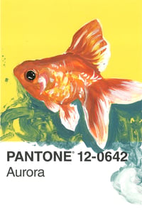 Image 1 of Goldfish Pantone Card