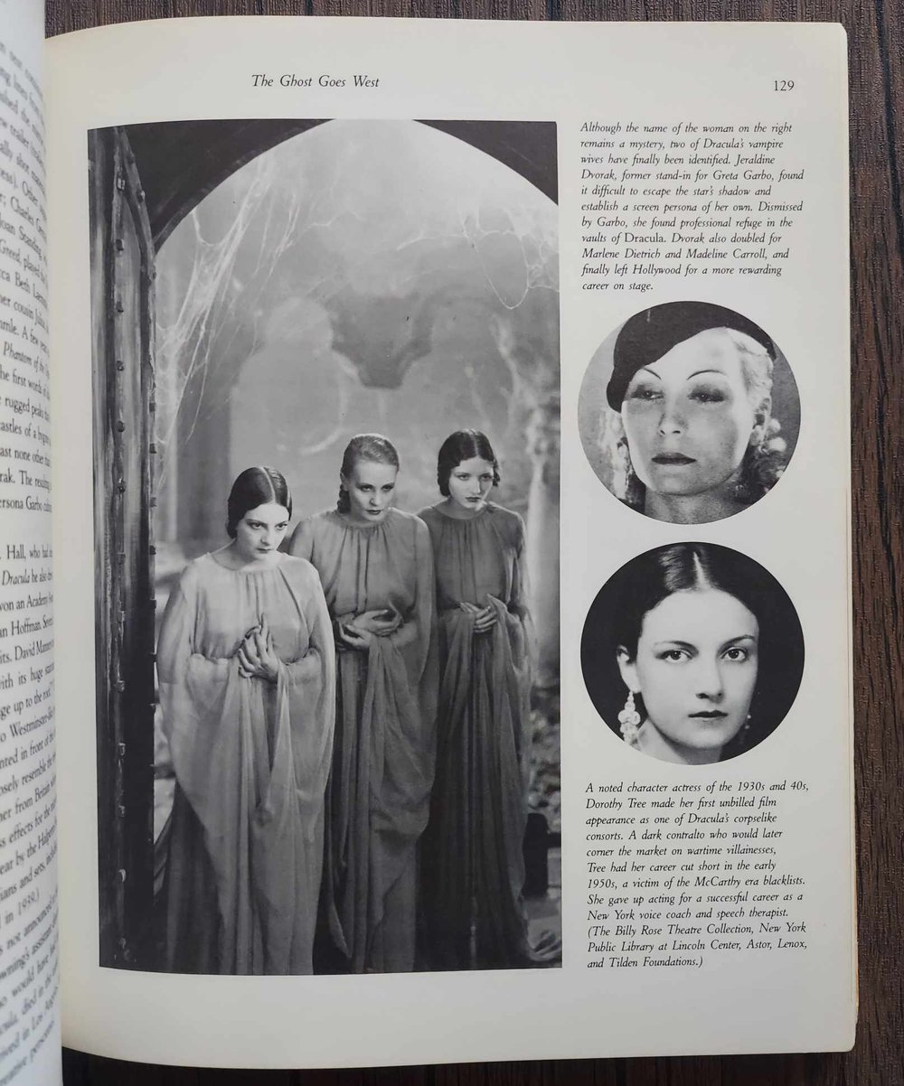 Hollywood Gothic: The Tangled Web of Dracula from Novel to Stage to Screen, by David J. Skal