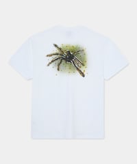 Image 1 of POLAR_GREEN SPIDER TEE :::WHITE:::