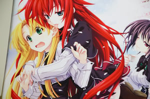 Image of High School DxD Official Canvas Art Piece