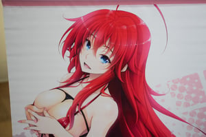 Image of High School DxD Rias Gremory Swimsuit String Bikini Ver. Big Tapestry Official