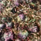 Image of Indigo Moon Grand Rising Tea